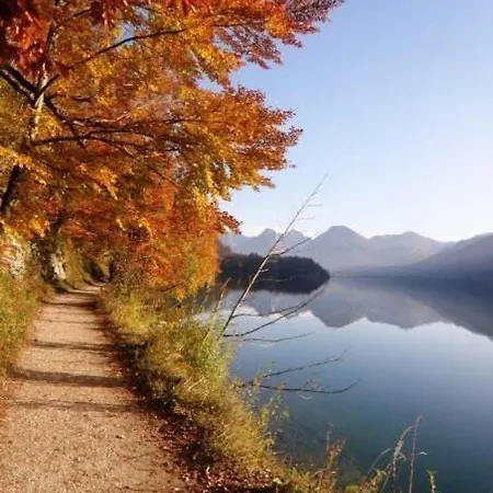 Schillerhof Garni Ξενοδοχείο Vöcklabruck