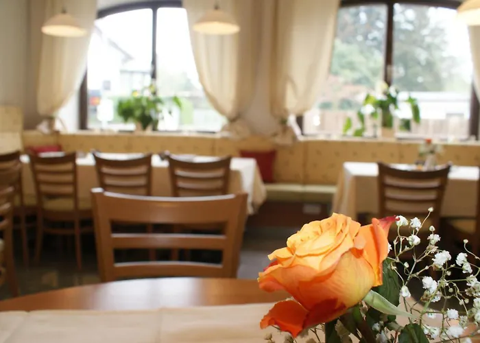 Schillerhof Garni 호텔 2*