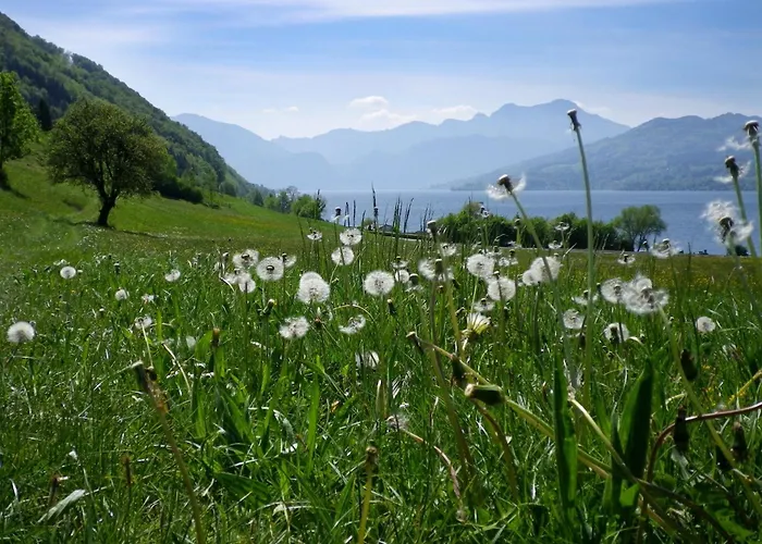 Schillerhof Garni 호텔 버클라브레크