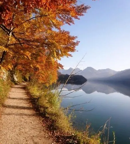 Schillerhof Garni 호텔 버클라브레크