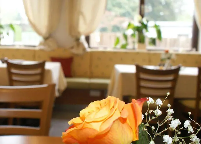 Schillerhof Garni 호텔 2*