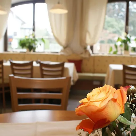 Schillerhof Garni 酒店 2*