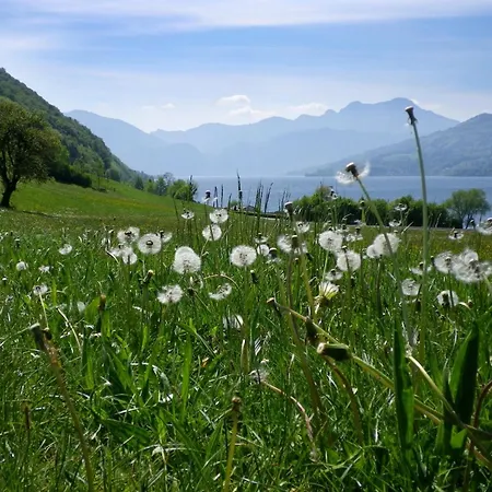 Schillerhof Garni 酒店 Vöcklabruck