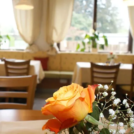 Schillerhof Garni Hotel 2*