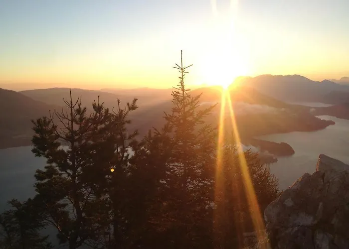 Schillerhof Garni Vöcklabruck